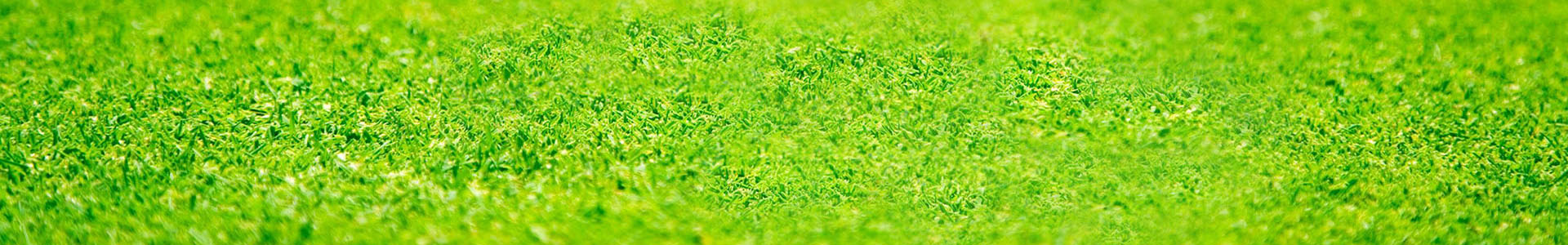 餐飲油煙環(huán)境監(jiān)測專題