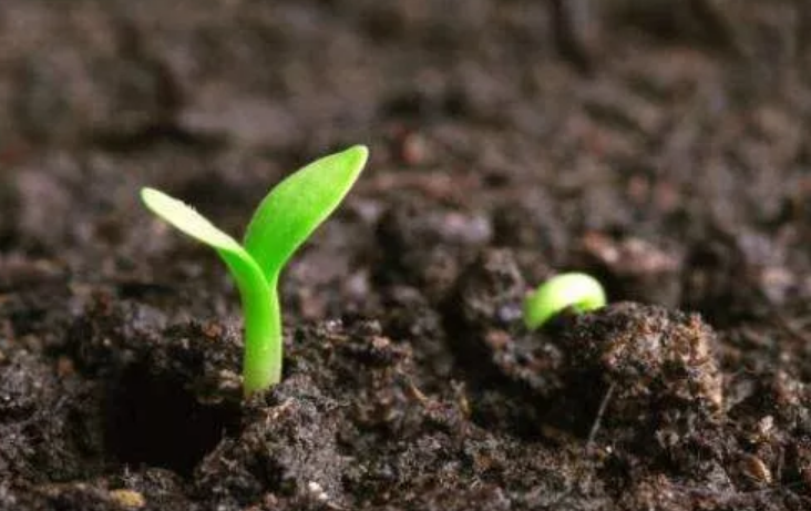 土壤墑情環境監測/檢測的過程是什么樣的