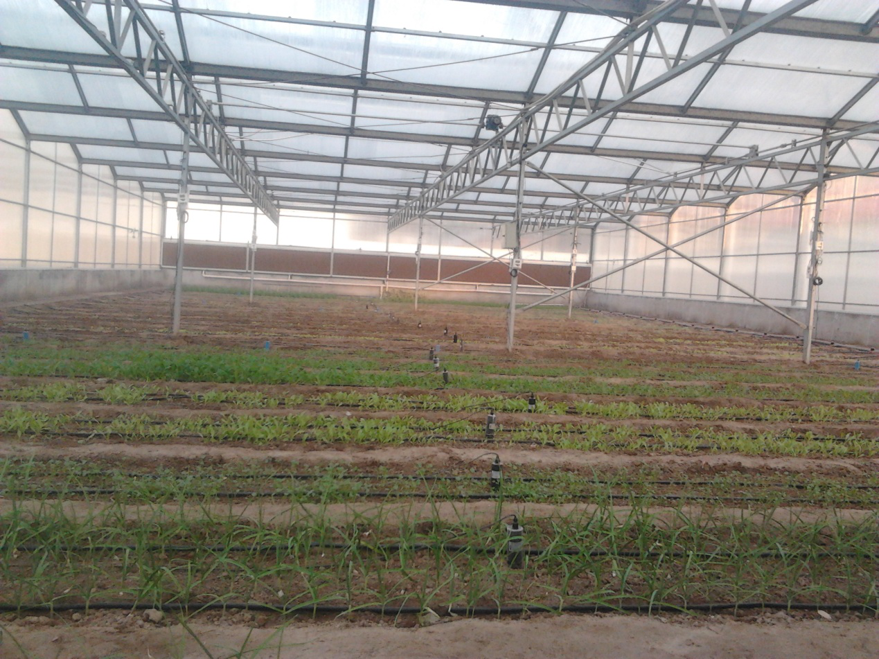 智慧農業(yè)水肥一體化灌溉技術解決方案