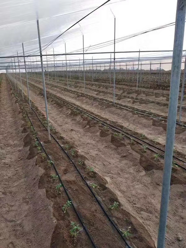 智慧農業(yè)水肥一體化灌溉技術解決方案