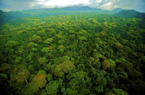 守護(hù)“地球之腎”:濕地公園生態(tài)保護(hù)的系統(tǒng)實(shí)踐與價(jià)值重構(gòu) 守護(hù)“地球之腎”:濕地公園生態(tài)保護(hù)的系統(tǒng)實(shí)踐與價(jià)值重構(gòu)